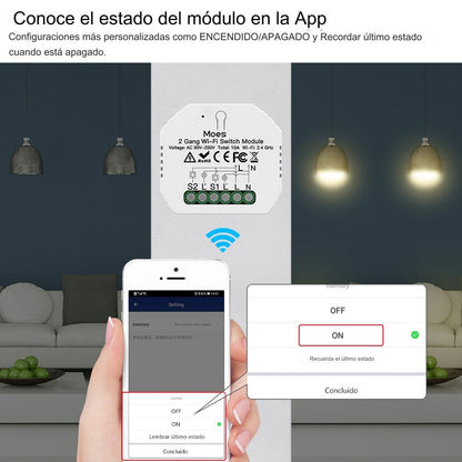 Módulo 2 canales Wi-Fi + RF 433